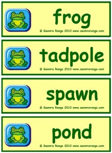 Frog Vocabulary | Seomra Ranga