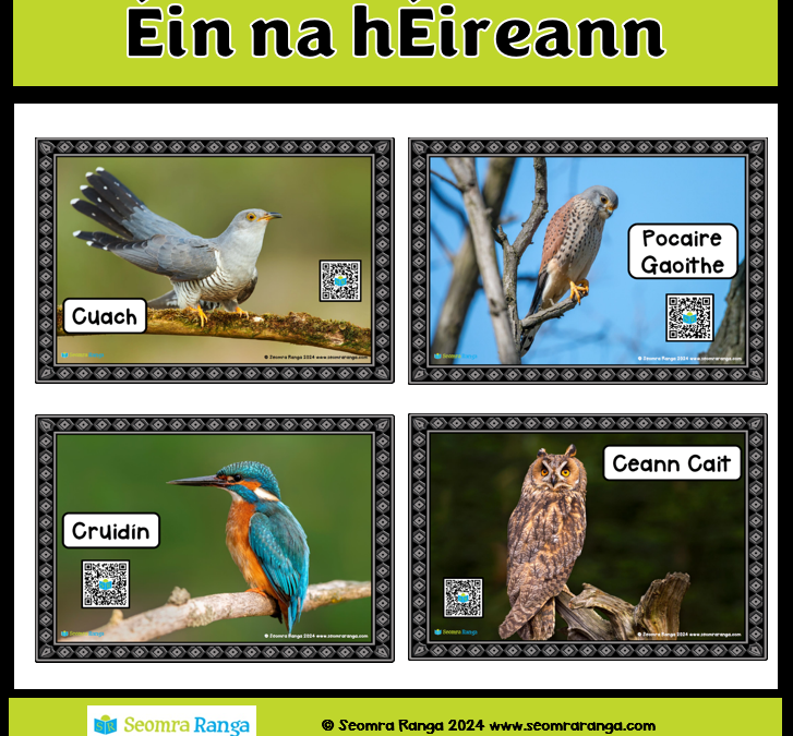 Éin na hÉireann